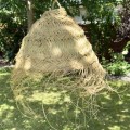 IMG_0288 Duży.jpeg