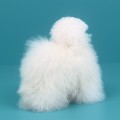 Lama z 100% futra baby alpaka. Inkari Alpaka maskotka dla alergików prezent 100% wełna z Peru. Lama ozdoba do domu. Ekskluzywna lama z wełny z alpaki.